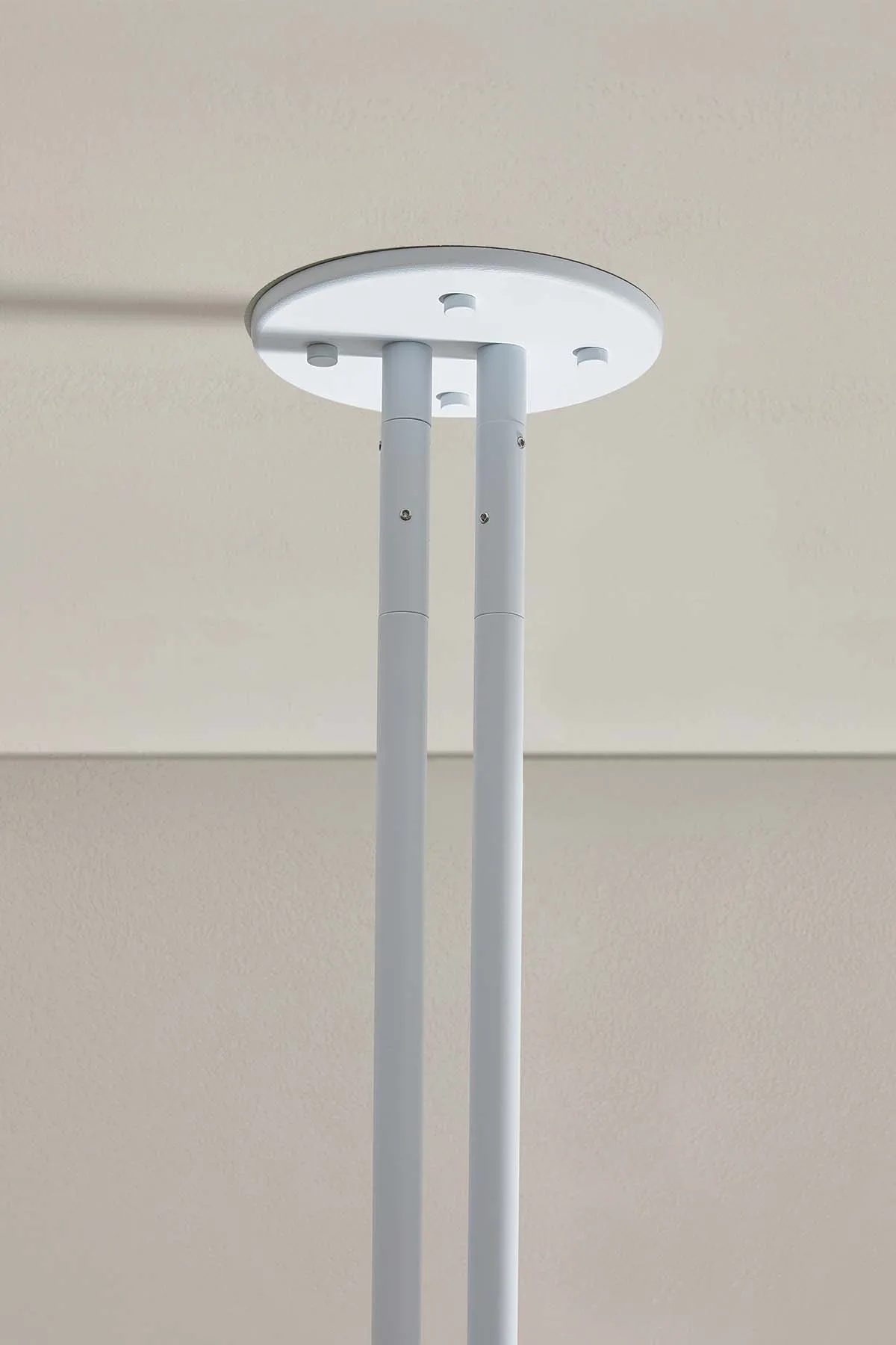 Aurelia Double Pendant Light