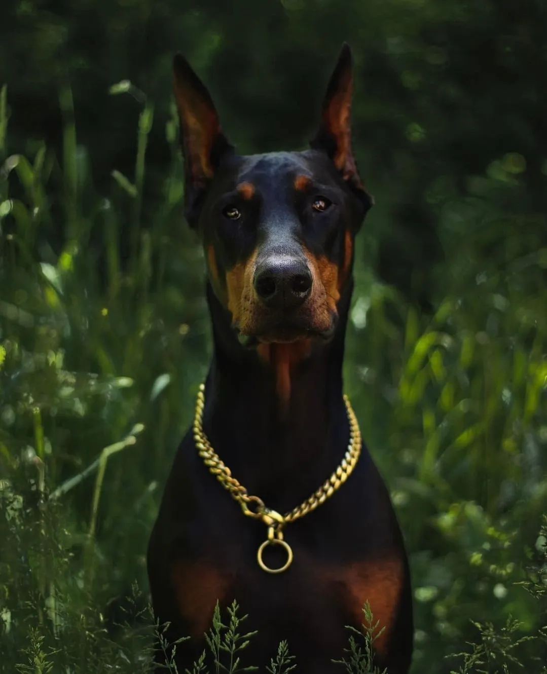 MIAMI CHOKER