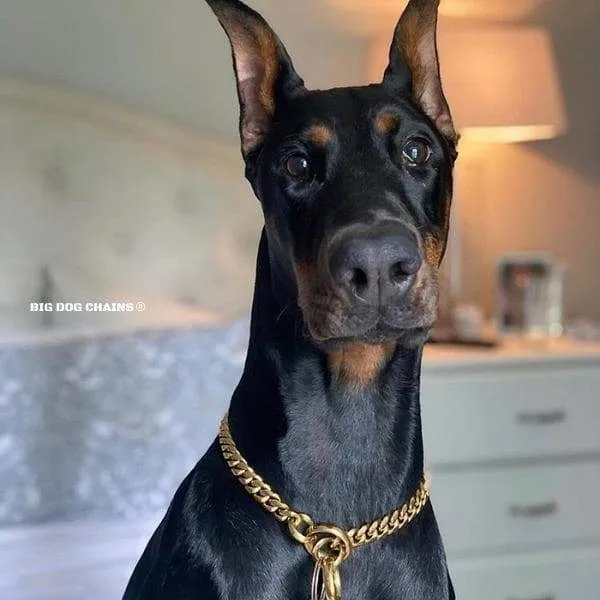 MIAMI CHOKER