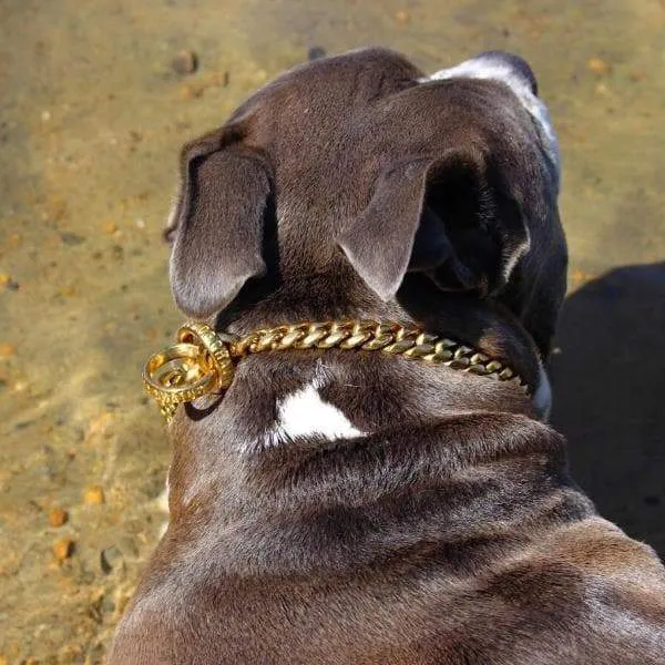 MIAMI CHOKER